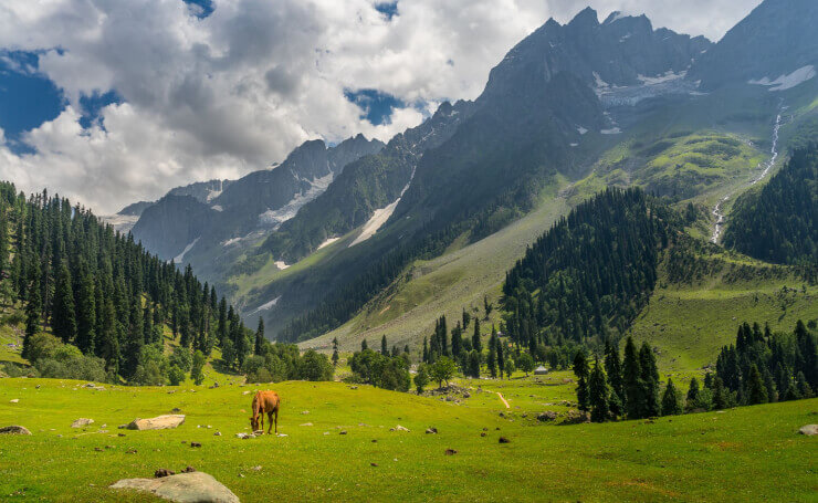 Yusmarg